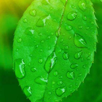 皇冠体育app下载截图